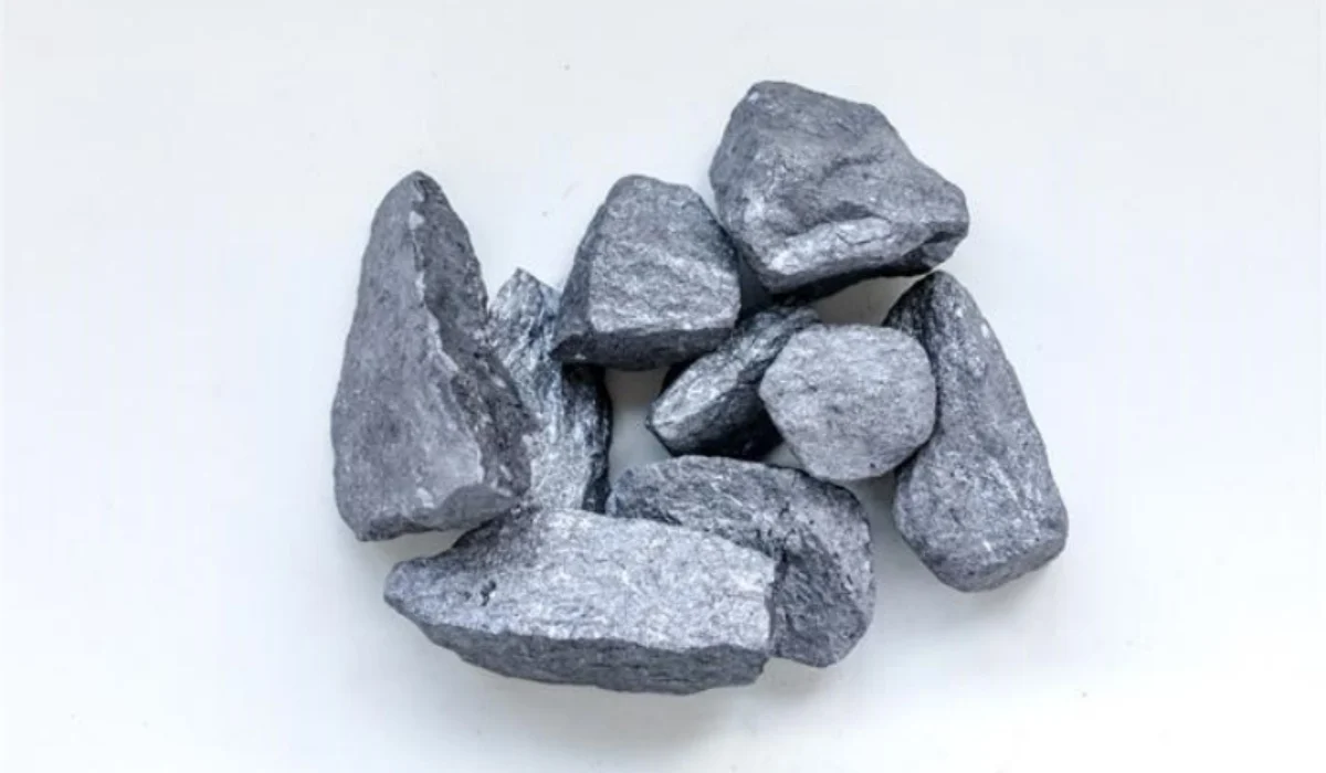 tanlin carbon